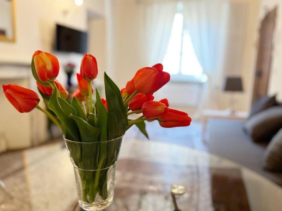 Il Canto De' Cenci Apartment Arezzo Eksteriør billede