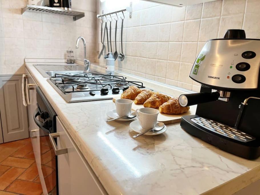 Il Canto De' Cenci Apartment Arezzo Eksteriør billede