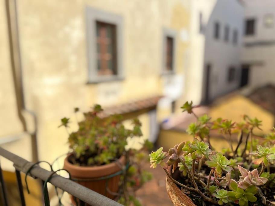 Il Canto De' Cenci Apartment Arezzo Eksteriør billede